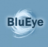 BluEyes logo